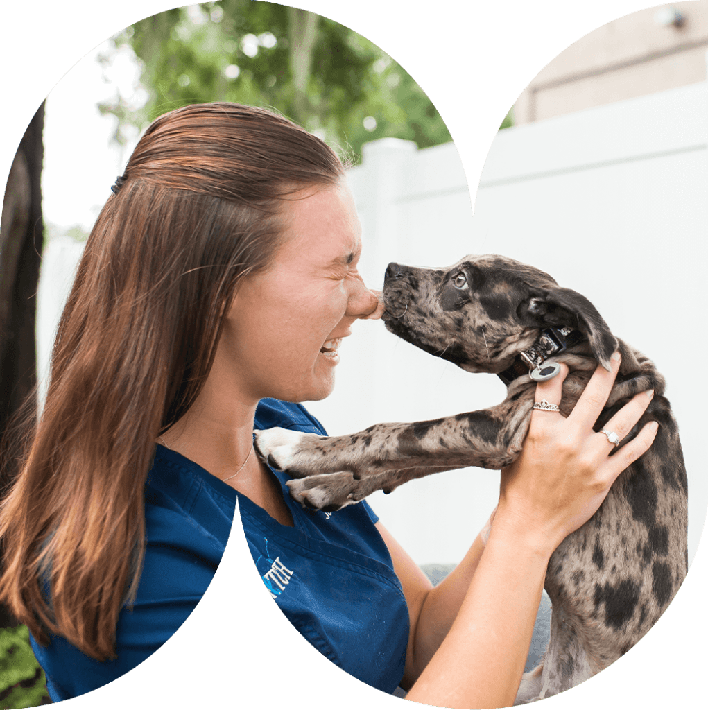 Veterinary Careers in Florida & South Carolina Fetch