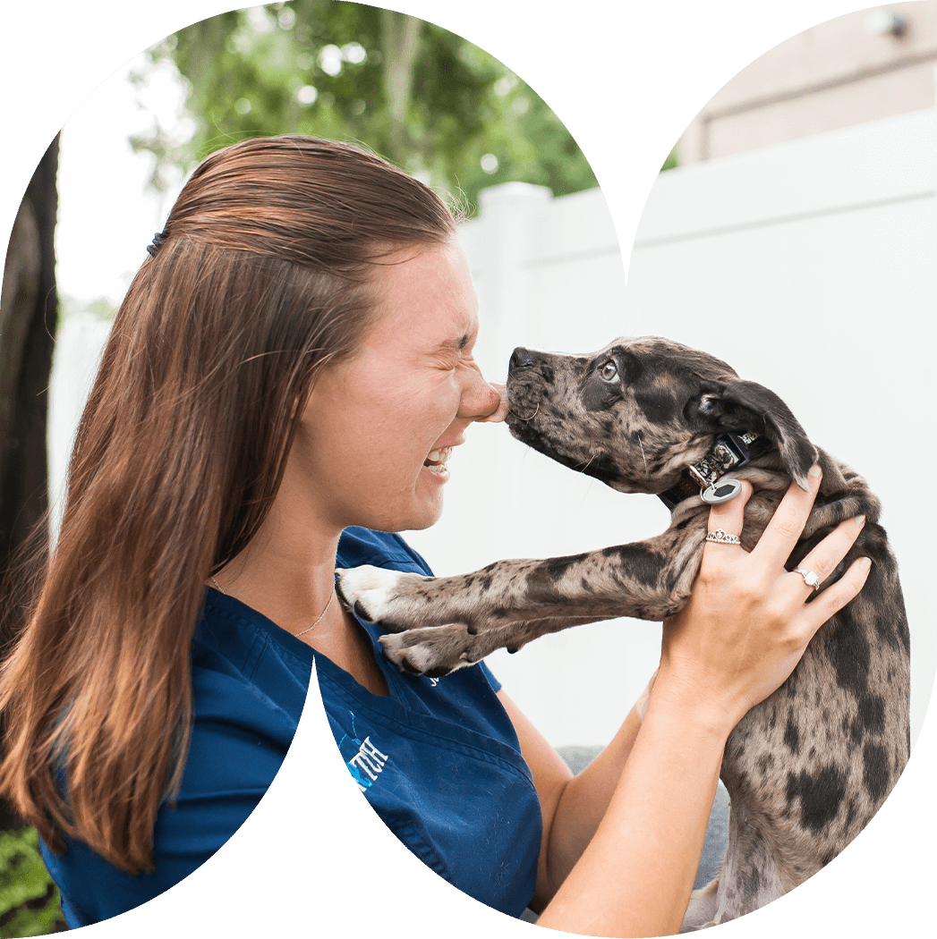 Veterinary Careers Florida South Carolina