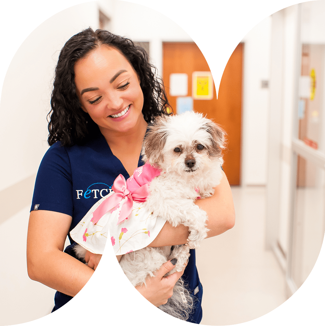 Veterinary Careers Fetch Vets